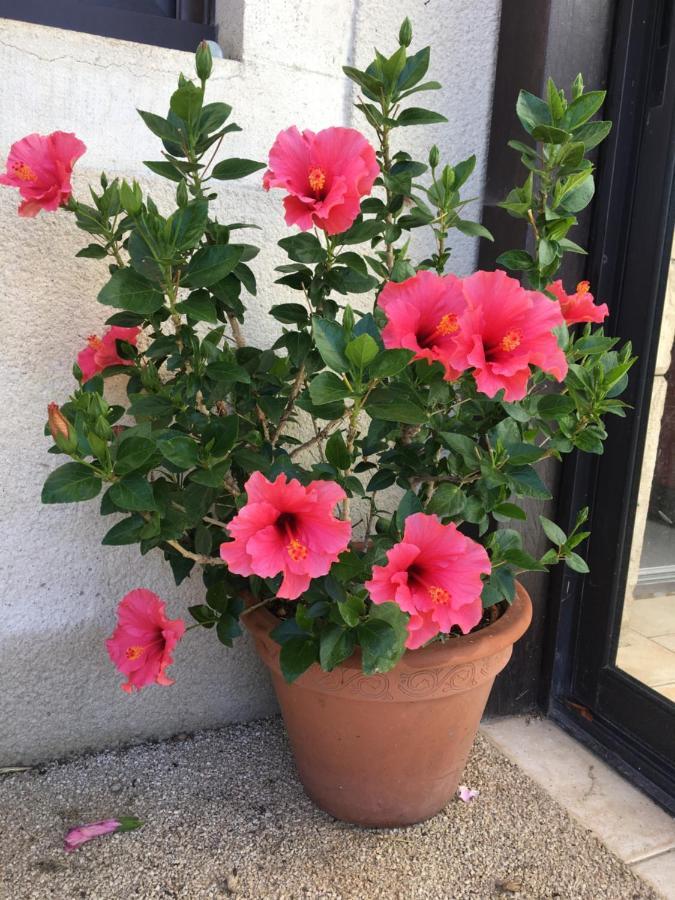 Maison D'Izier 외부 사진